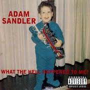 Der musikalische text THE EXCITED SOUTHERNER PROPOSES TO A WOMAN von ADAM SANDLER ist auch in dem Album vorhanden What the hell happened to me? (1996)