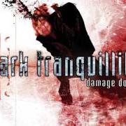 Der musikalische text DAMAGE DONE von DARK TRANQUILLITY ist auch in dem Album vorhanden Damage done (2002)