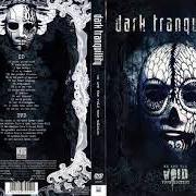 Der musikalische text AT THE POINT OF IGNITION von DARK TRANQUILLITY ist auch in dem Album vorhanden We are the void (2010)