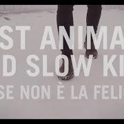Der musikalische text TENERA ETÀ von FAST ANIMALS AND SLOW KIDS ist auch in dem Album vorhanden Forse non e' la felicità (2017)