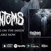 Der musikalische text YOU MAY SUFFER von PHANTOMS ist auch in dem Album vorhanden Screaming on the inside (2017)