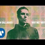 Der musikalische text MEADOW von LIAM GALLAGHER ist auch in dem Album vorhanden Why me? why not (2019)
