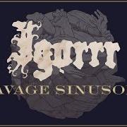 Der musikalische text VIANDE von IGORRR ist auch in dem Album vorhanden Savage sinusoid (2017)