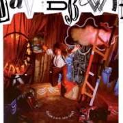 Der musikalische text BEAT OF YOUR DRUM von DAVID BOWIE ist auch in dem Album vorhanden Never let me down (1987)