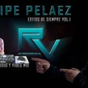 Der musikalische text VOY A BEBER von FELIPE PELÁEZ ist auch in dem Album vorhanden Felipe peláez - 30 grandes éxitos (2014)