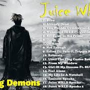 Der musikalische text FELINE von JUICE WRLD ist auch in dem Album vorhanden Fighting demons (2021)