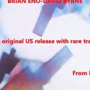 Der musikalische text MEA CULPA von DAVID BYRNE ist auch in dem Album vorhanden My life in the bush of ghosts (with brian eno) (1981)