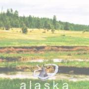 Der musikalische text SETTLEMENTS von ALASKA ist auch in dem Album vorhanden Palcaptain - ep (2012)