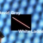 Der musikalische text WHITE LADDER von DAVID GRAY ist auch in dem Album vorhanden White ladder (1998)