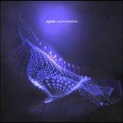Der musikalische text SPEECHLESS von AGORIA ist auch in dem Album vorhanden Impermanence (2011)