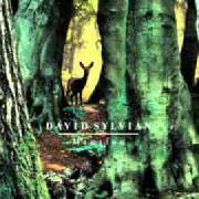 Der musikalische text SNOW WHITE IN APPALACHIA von DAVID SYLVIAN ist auch in dem Album vorhanden Manafon (2009)