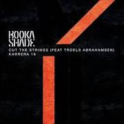 Der musikalische text CONFESSIONS von BOOKA SHADE ist auch in dem Album vorhanden Cut the strings (2018)