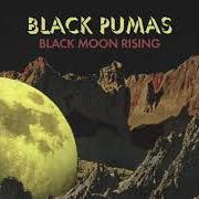 Der musikalische text SWEET CONVERSATION von BLACK PUMAS ist auch in dem Album vorhanden Black pumas (2020)
