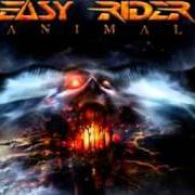 Der musikalische text WALLS OF HATRED von EASY RIDER ist auch in dem Album vorhanden Animal (2004)