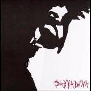 Der musikalische text SOMEDAY I WILL KILL von SAYYADINA ist auch in dem Album vorhanden Solace denied (2001)
