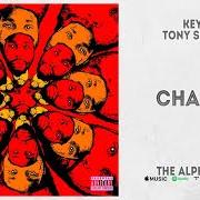 Der musikalische text CLINICAL von KEY! ist auch in dem Album vorhanden The alpha jerk (2021)
