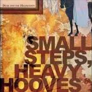 Der musikalische text SKINNED KNEES AND GAPPED TEETH von DEAR AND THE HEADLIGHTS ist auch in dem Album vorhanden Small steps, heavy hooves (2007)