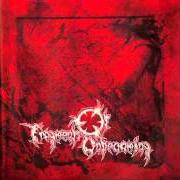 Der musikalische text REBORN von FRAGMENTS OF UNBECOMING ist auch in dem Album vorhanden Bloodred tales - chapter i - the crimson season - ep (2002)