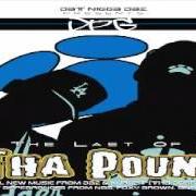 Der musikalische text GOT TO GET IT GET IT von D.P.G. ist auch in dem Album vorhanden Last of tha pound (2004)