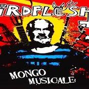 Der musikalische text MONGOLOID WANNABE von BIRDFLESH ist auch in dem Album vorhanden Mongo musicale (2006)