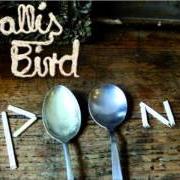Der musikalische text I AM SO TIRED OF THAT LINE von WALLIS BIRD ist auch in dem Album vorhanden Wallis bird (2012)