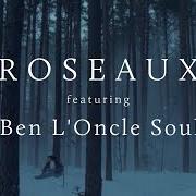 Der musikalische text MISSING YOU von ROSEAUX ist auch in dem Album vorhanden Roseaux (2012)