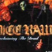 Der musikalische text THE END OF YOUR WORLD von DICE RAW ist auch in dem Album vorhanden Reclaiming the dead (2000)