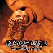 Der musikalische text DOMINATION THROUGH MUTILATION von REGURGITATE ist auch in dem Album vorhanden Carnivorous erection (2000)