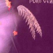 Der musikalische text EN UN MERCEDES BLANCO von KIKO VENENO ist auch in dem Album vorhanden Puro veneno (1998)