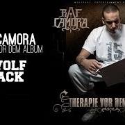 Der musikalische text OUTRO von RAF CAMORA ist auch in dem Album vorhanden Therapie vor dem album (2008)