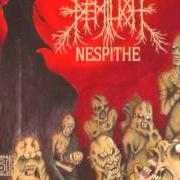 Der musikalische text RAPED EMBALMED BEAUTY SLEEP von DEMILICH ist auch in dem Album vorhanden Nespithe (1994)