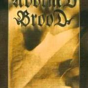 Der musikalische text LEBENSLIED von ADORNED BROOD ist auch in dem Album vorhanden Erdenkraft (2002)