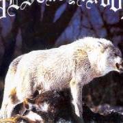 Der musikalische text SIX CURSES FROM A SPIRITUAL WASTELAND von DESTROYER 666 ist auch in dem Album vorhanden Unchain the wolves (1997)