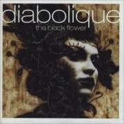 Der musikalische text CATHOLIC von DIABOLIQUE ist auch in dem Album vorhanden The black flower (1999)