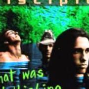 Der musikalische text TAKE ME von DISCIPLE ist auch in dem Album vorhanden What was i thinking (1996)