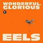 Der musikalische text I AM BUILDING A SHINE von EELS ist auch in dem Album vorhanden Wonderful, glorious (2013)