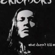 Der musikalische text ENVY von EKTOMORF ist auch in dem Album vorhanden What doesn't kill me... (2009)