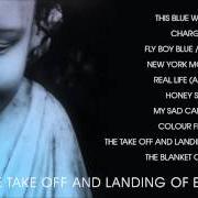 Der musikalische text NEW YORK MORNING von ELBOW ist auch in dem Album vorhanden The take off and landing of everything (2014)