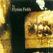 Der musikalische text ENSHIELD MY HATE ETERNAL von ELYSIAN FIELDS ist auch in dem Album vorhanden 12 ablaze (2001)