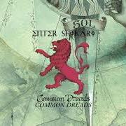 Der musikalische text COMMON DREADS von ENTER SHIKARI ist auch in dem Album vorhanden Common dreads (2009)