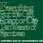 Der musikalische text TEMPERAMENTAL von EVERYTHING BUT THE GIRL ist auch in dem Album vorhanden Adapt or die: ten years of remixes (2005)