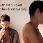 Der musikalische text I DON'T UNDERSTAND ANYTHING von EVERYTHING BUT THE GIRL ist auch in dem Album vorhanden Amplified heart (1994)