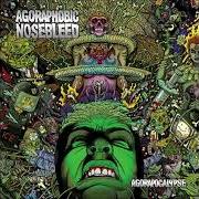 Der musikalische text DICK TO MOUTH RESUSCITATION von AGORAPHOBIC NOSEBLEED ist auch in dem Album vorhanden Agorapocalypse (2009)