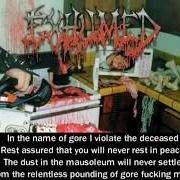 Der musikalische text VAGITARIAN II von EXHUMED ist auch in dem Album vorhanden Gore metal (1998)