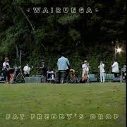 Der musikalische text BUSH TELEGRAPH von FAT FREDDY'S DROP ist auch in dem Album vorhanden Wairunga (2021)
