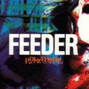 Der musikalische text MY PERFECT DAY von FEEDER ist auch in dem Album vorhanden Polythene (1997)