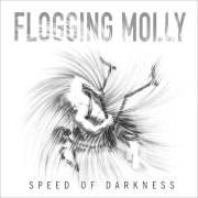 Der musikalische text DON'T SHUT 'EM DOWN von FLOGGING MOLLY ist auch in dem Album vorhanden Speed of darkness (2011)