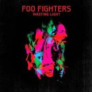 Der musikalische text THESE DAYS von FOO FIGHTERS ist auch in dem Album vorhanden Wasting light (2011)