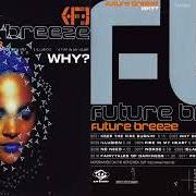 Der musikalische text NO NEED von FUTURE BREEZE ist auch in dem Album vorhanden Why? (1996)