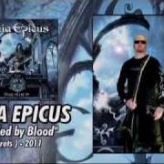 Der musikalische text LAST CHANCE von GAIA EPICUS ist auch in dem Album vorhanden Dark secrets (2012)